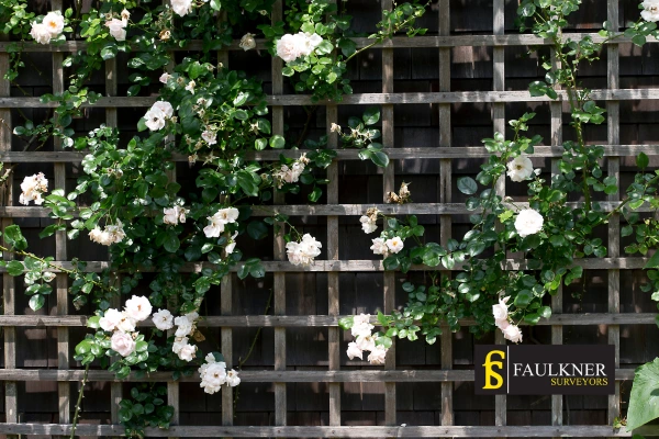 Can I put trellis on my Neighbours garage wall? 2 Do you want to adapt your neighbours garage door and add a trellis Farnham? Talk to Faulkner Surveyor Farnham